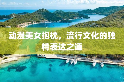 动漫美女抱枕，流行文化的独特表达之道