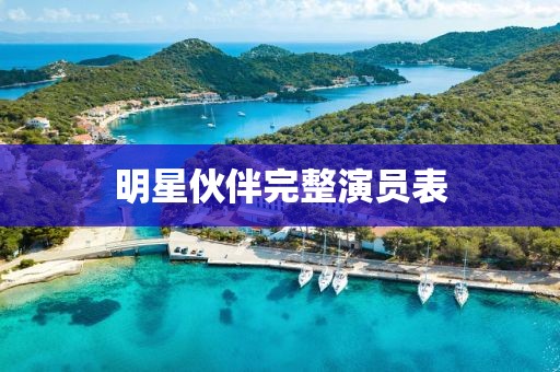 明星伙伴完整演员表