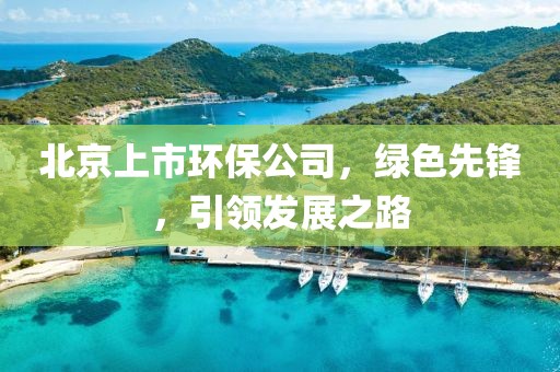 北京上市环保公司，绿色先锋，引领发展之路