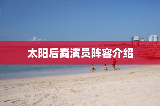 太阳后裔演员阵容介绍