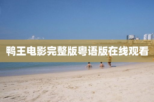 鸭王电影完整版粤语版在线观看