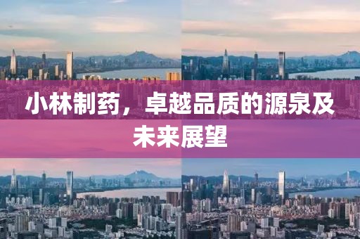小林制药，卓越品质的源泉及未来展望