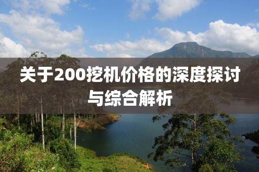 关于200挖机价格的深度探讨与综合解析