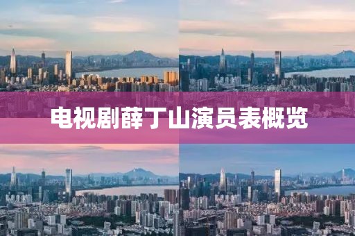 电视剧薛丁山演员表概览