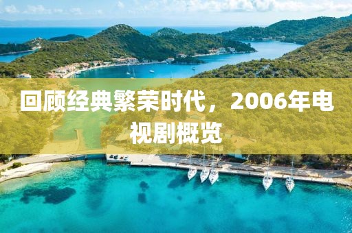 回顾经典繁荣时代，2006年电视剧概览