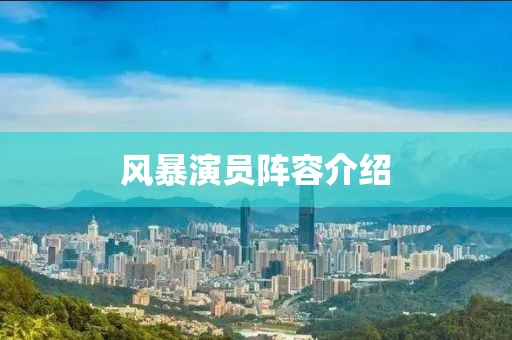 风暴演员阵容介绍