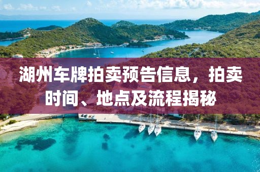 湖州车牌拍卖预告信息，拍卖时间、地点及流程揭秘