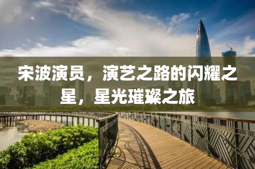 宋波演员，演艺之路的闪耀之星，星光璀璨之旅
