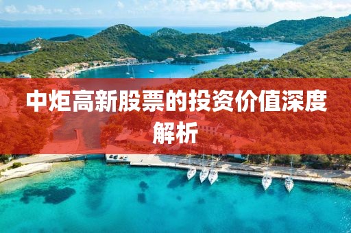 中炬高新股票的投资价值深度解析