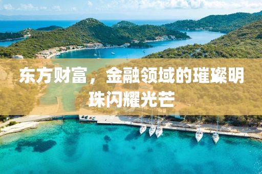 东方财富，金融领域的璀璨明珠闪耀光芒