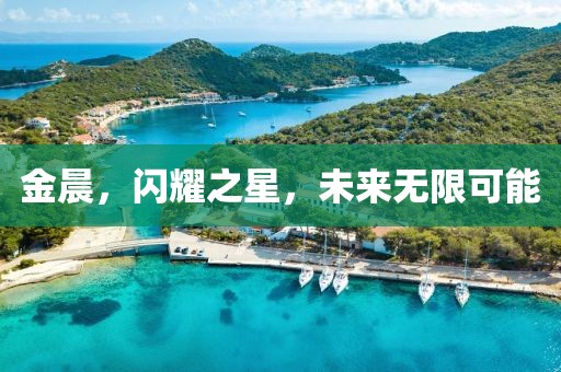 2024年10月 第281页