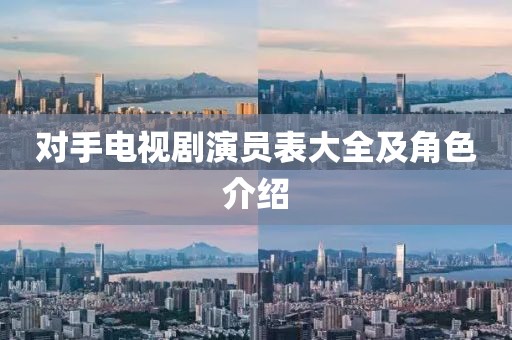 对手电视剧演员表大全及角色介绍
