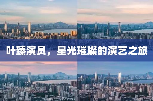 叶臻演员，星光璀璨的演艺之旅