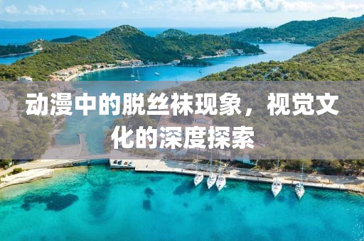 动漫中的脱丝袜现象，视觉文化的深度探索