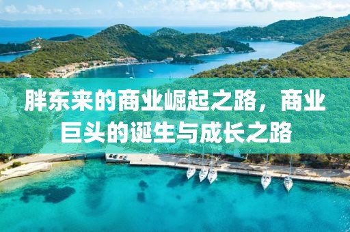 胖东来的商业崛起之路，商业巨头的诞生与成长之路