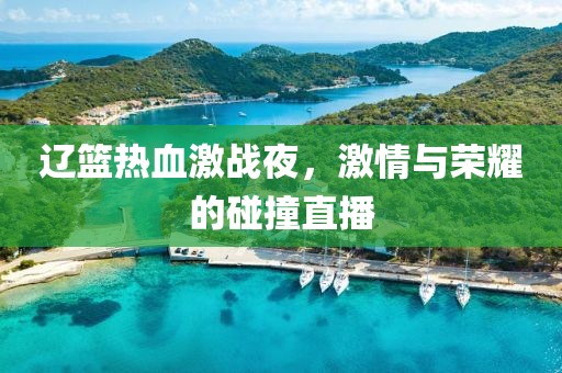 辽篮热血激战夜，激情与荣耀的碰撞直播