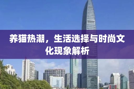 养猫热潮，生活选择与时尚文化现象解析