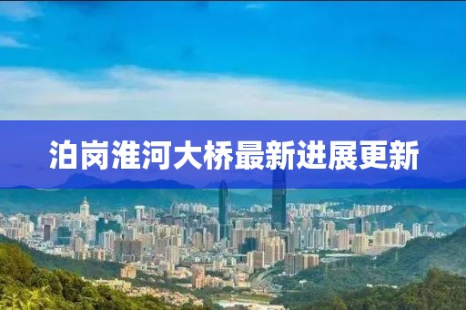 泊岗淮河大桥最新进展更新