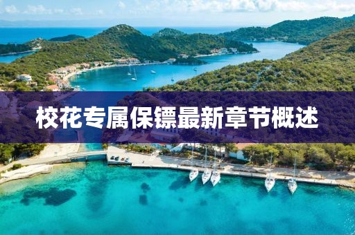 2025年1月 第233页