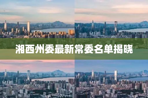 湘西州委最新常委名单揭晓