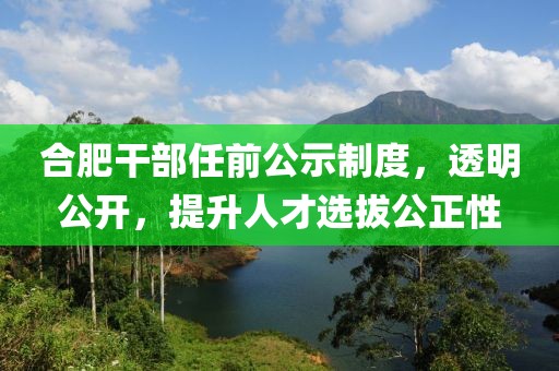 合肥干部任前公示制度，透明公开，提升人才选拔公正性