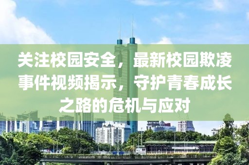 关注校园安全，最新校园欺凌事件视频揭示，守护青春成长之路的危机与应对