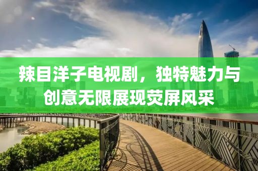 辣目洋子电视剧，独特魅力与创意无限展现荧屏风采
