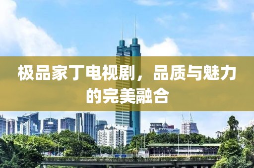 极品家丁电视剧，品质与魅力的完美融合