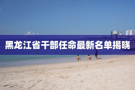 黑龙江省干部任命最新名单揭晓
