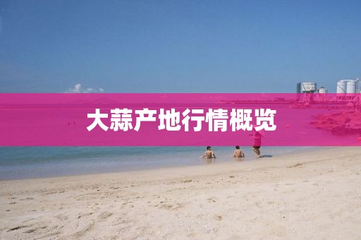 大蒜产地行情概览