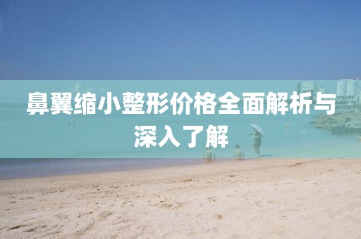 鼻翼缩小整形价格全面解析与深入了解