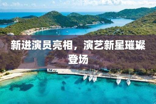新进演员亮相，演艺新星璀璨登场