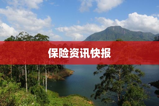 保险资讯快报