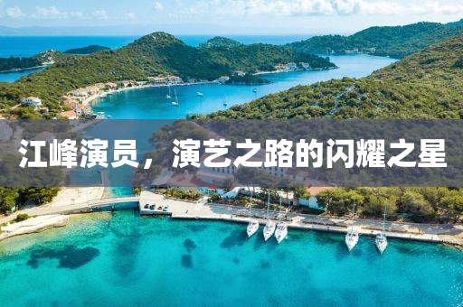 江峰演员，演艺之路的闪耀之星