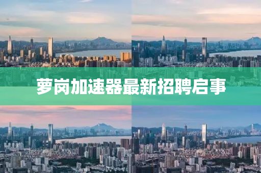 萝岗加速器最新招聘启事