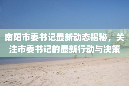 南阳市委书记最新动态揭秘，关注市委书记的最新行动与决策