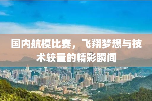 国内航模比赛，飞翔梦想与技术较量的精彩瞬间