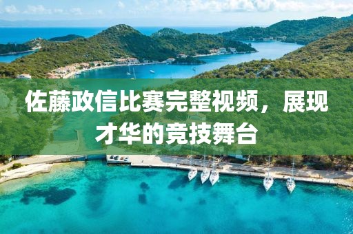 佐藤政信比赛完整视频，展现才华的竞技舞台