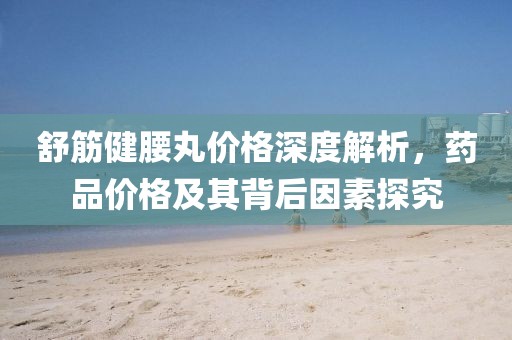 舒筋健腰丸价格深度解析，药品价格及其背后因素探究