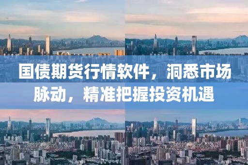 国债期货行情软件，洞悉市场脉动，精准把握投资机遇