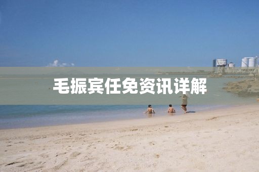 毛振宾任免资讯详解
