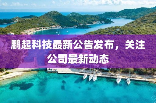 鹏起科技最新公告发布，关注公司最新动态