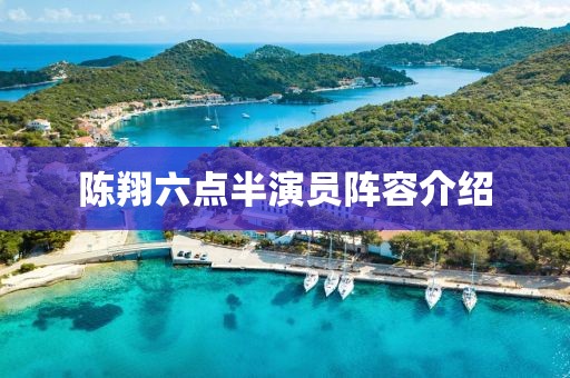 陈翔六点半演员阵容介绍