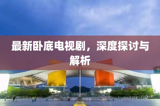 最新卧底电视剧，深度探讨与解析
