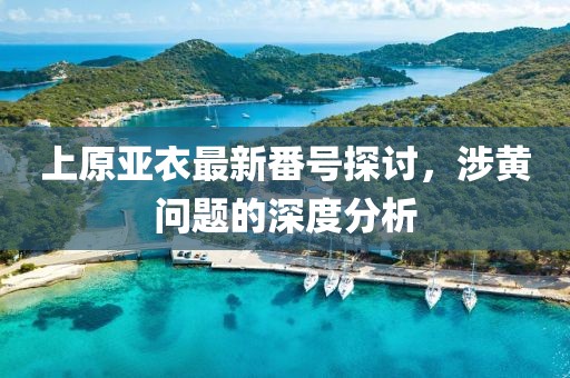 上原亚衣最新番号探讨，涉黄问题的深度分析