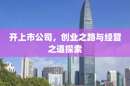 开上市公司，创业之路与经营之道探索