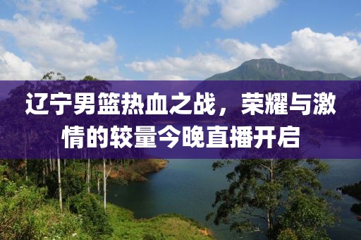 辽宁男篮热血之战，荣耀与激情的较量今晚直播开启