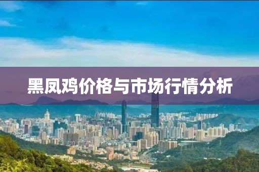黑凤鸡价格与市场行情分析