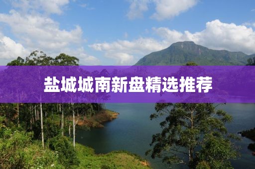 盐城城南新盘精选推荐