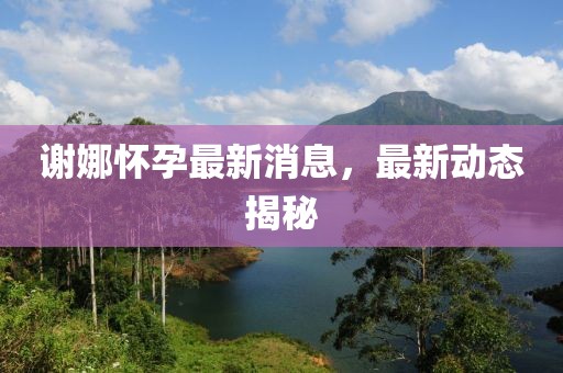 谢娜怀孕最新消息，最新动态揭秘